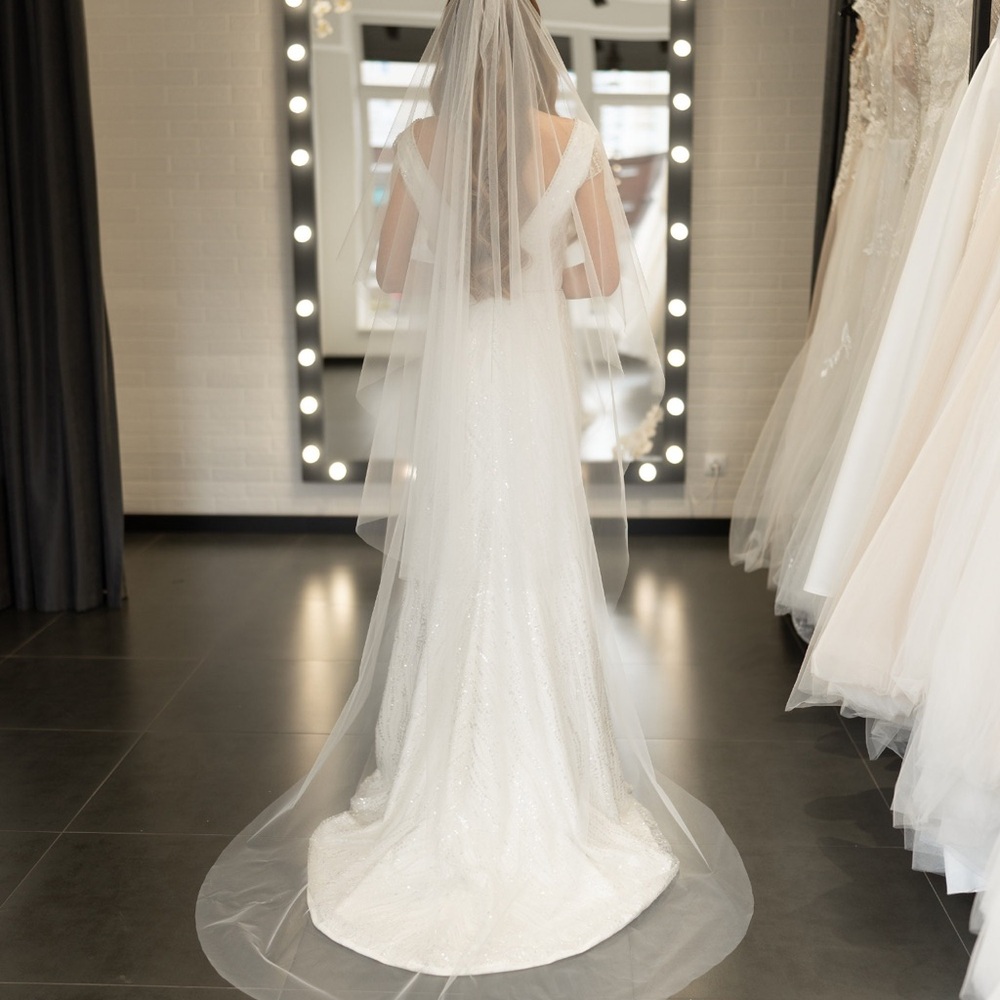 Elegant White / Ivory Veil